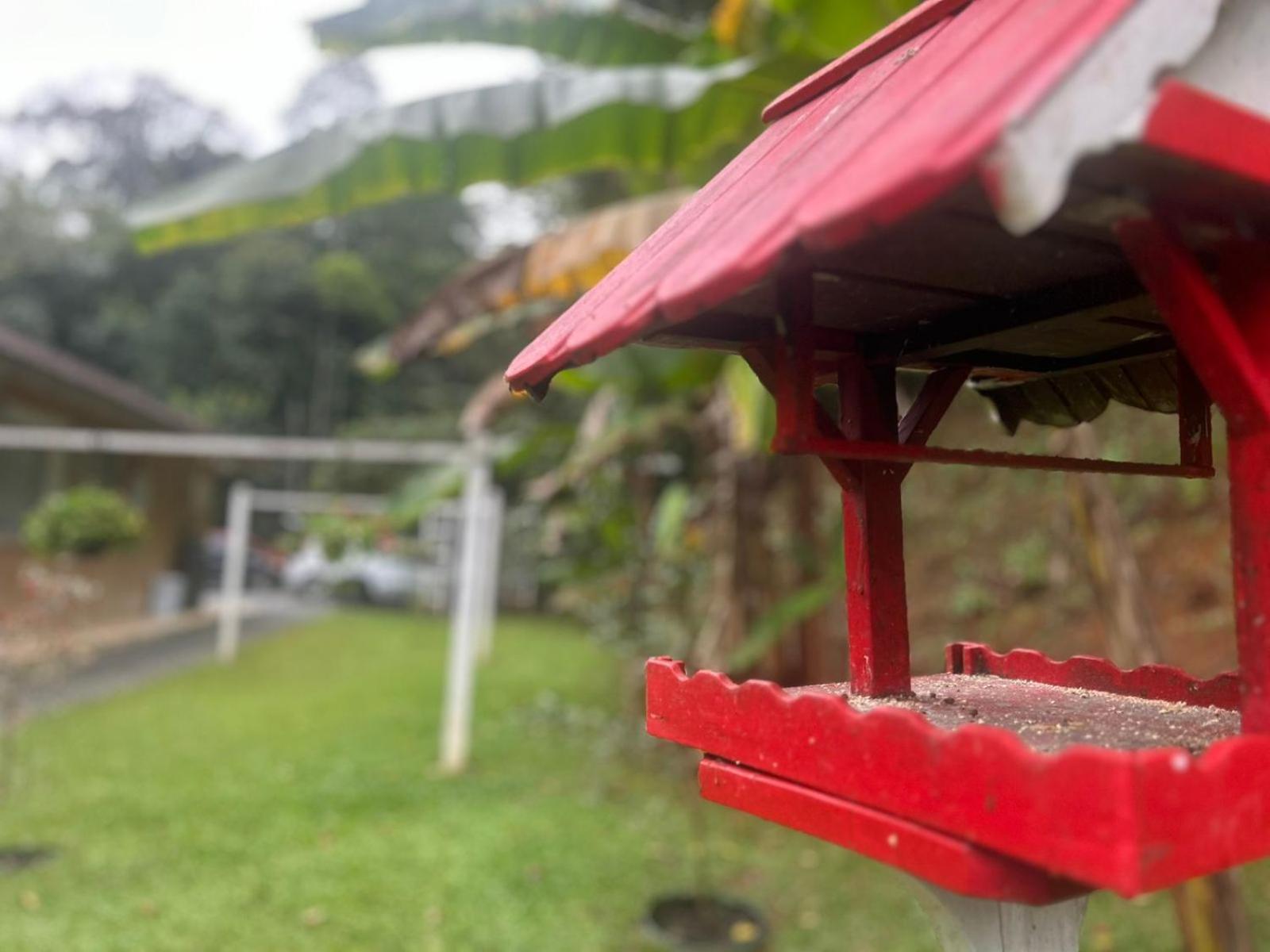Bela Vista Hospedagem Joinville Esterno foto